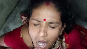 South Asian wife vigorously penetrated in erotic film
