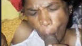 Indian village wife gives a sensual blowjob