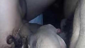 Female of Indian origin got tired of vaginal XXX sex and gave a blowjob