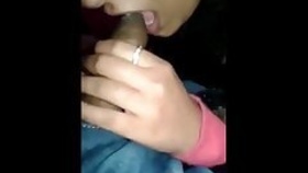 Upny fiancé gives a blowjob
